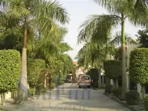 实景图