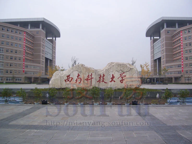 西南科技大学a卷-结构力学试题2007-2008