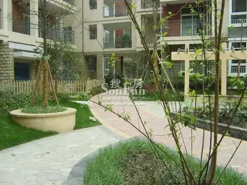 舜苑一里阳光3室2厅1卫东南朝向1700.00元/月出租