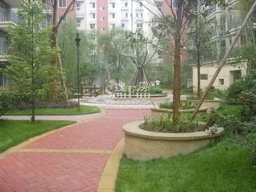 舜苑一里阳光3室1厅2卫东南朝向1800.00元/月出租