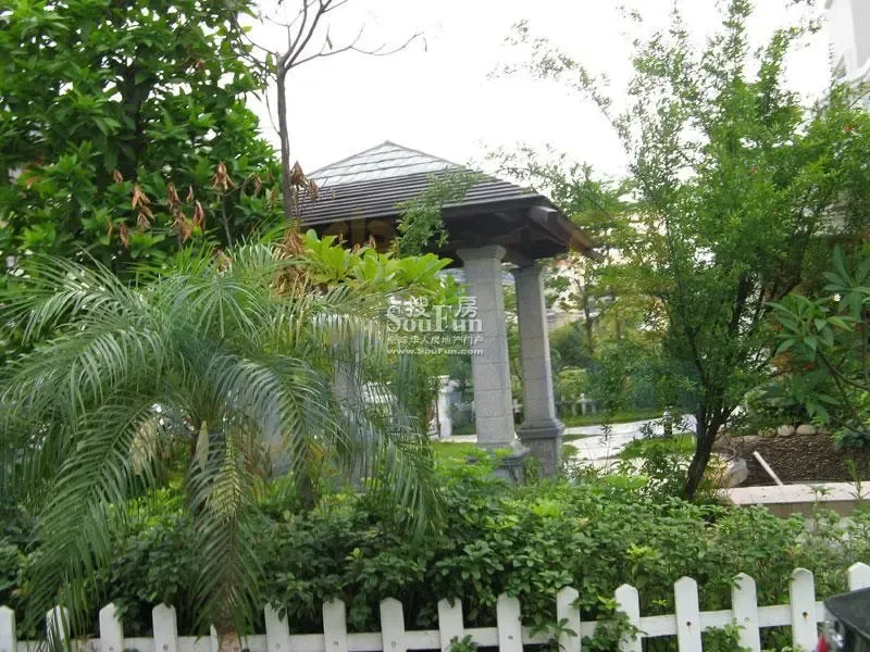 园林 (2)