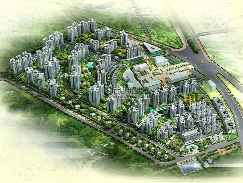 瑞佳.万树阳光