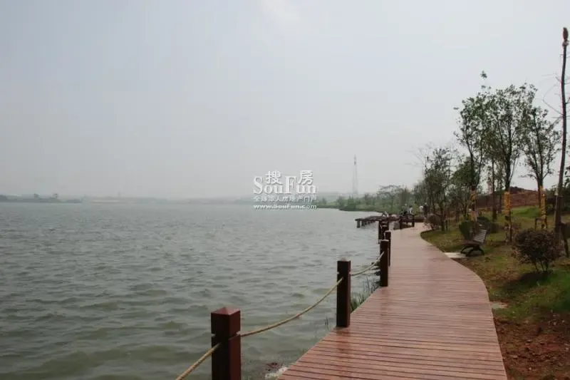 阳逻新城标杆楼盘--天琴湾! -guange240