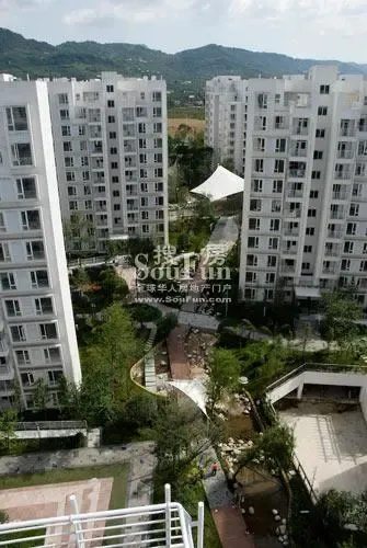 东山国际新城A区3室2厅2卫东南朝向2000.00元/月出租