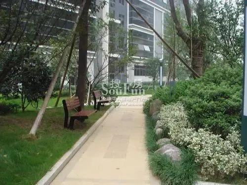 美林银谷1室1厅1卫南朝向1600.00元/月出租