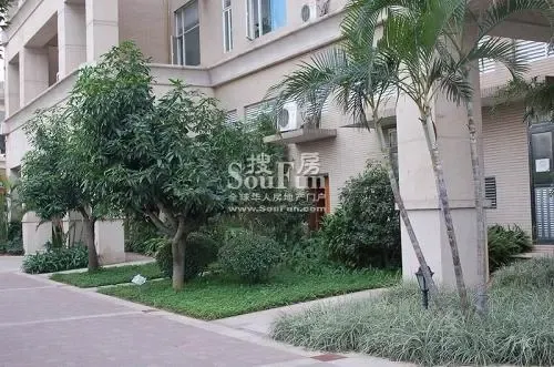 �þ���Է�����-С��ʵ��