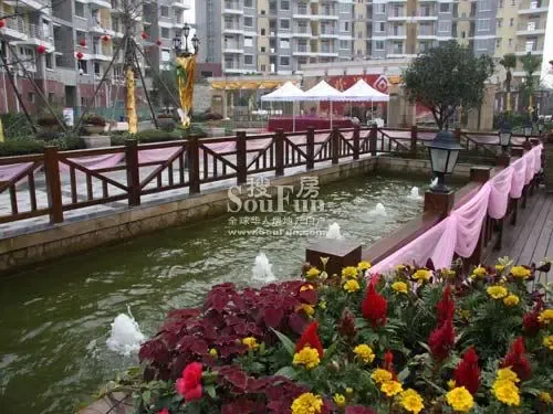 江山多娇4室2厅2卫南朝向1100.00元/月出租