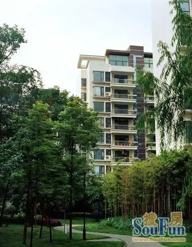 优品道一期3室2厅2卫东朝向5800.00元/月出租