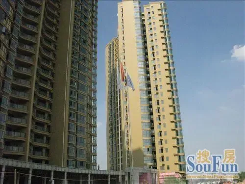 滨江金座1室1厅南朝向4000.00元/月出租