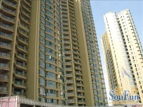 滨江金座3室2厅2卫南朝向3600.00元/月出租