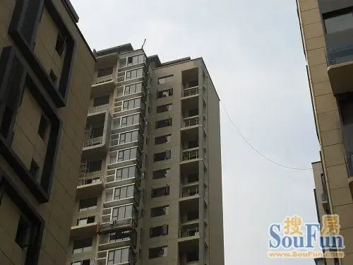 博林金谷3室2厅2卫南朝向3380.00元/月出租