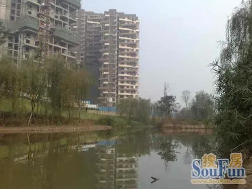 观澜东山3室1厅1卫南朝向1600.00元/月出租