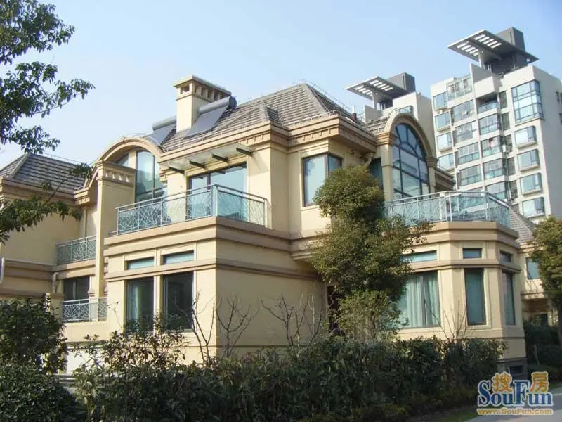 大华锦绣华城外立面(2010.01)