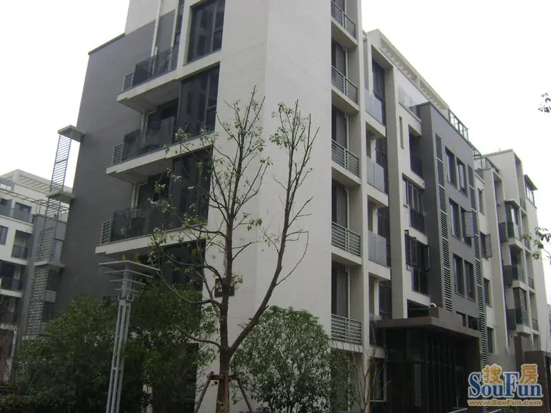 大华铂金华府楼盘外观2010.01