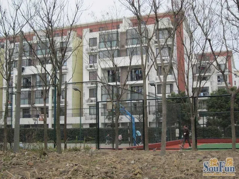 夏朵园2室2厅1卫南朝向3700.00元/月出租