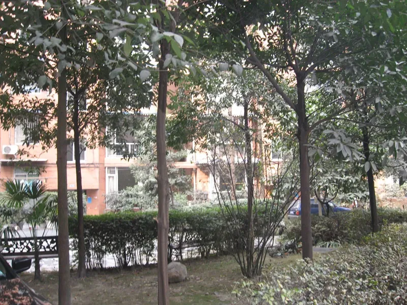 银沙小区3室1厅1卫东南朝向1750.00元/月出租