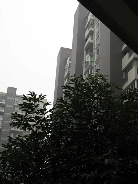 巷上生活馆3室2厅2卫东南朝向4000.00元/月出租