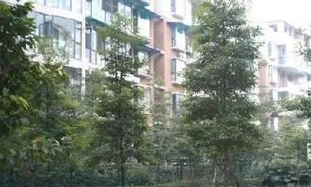 整租·金沙国际花园 6室2厅 西南