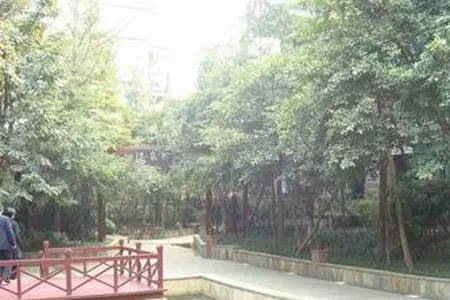 龙景花园3室1厅1卫南朝向5000.00元/月出租