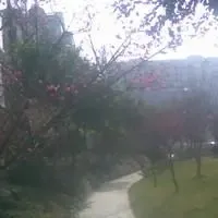 水晶星座2室1厅1卫东南朝向3000.00元/月出租
