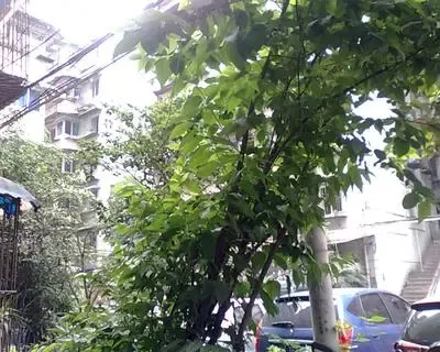 石人南路23号院2室1厅1卫东南朝向2200.00元/月出租
