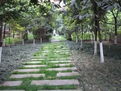 成都花园别墅5室2厅3卫南朝向9370.00元/月出租