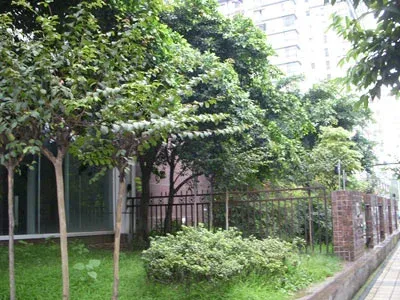 整租·金府花园 4室2厅 跃层 东南