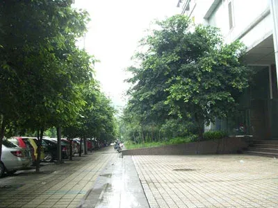 金府花园3室2厅2卫东朝向5000.00元/月出租