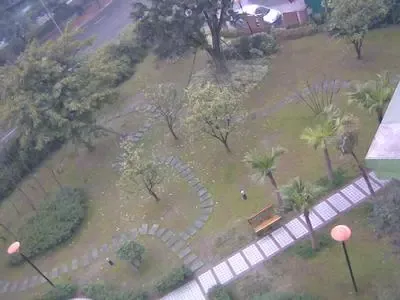 东方桂苑1室1卫东北朝向1700.00元/月出租