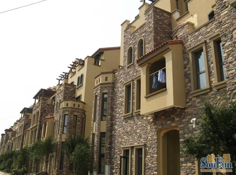 莫奈别墅联排别墅(2010.04)圆顶花园建筑与哥特式图片