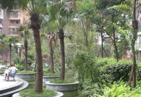 锦都馨苑二期2室1厅1卫东朝向2000.00元/月出租