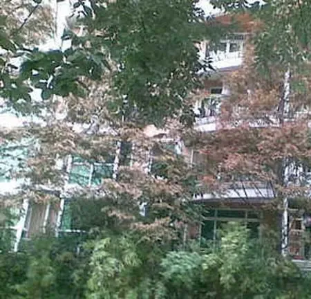 彩虹花园2室1厅1卫东南朝向2750.00元/月出租