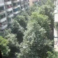 王家塘小区2室1厅1卫东南朝向2400.00元/月出租