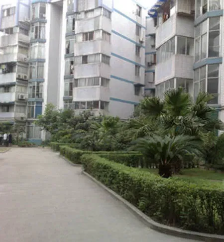 双楠家园3室2厅2卫西南朝向2500.00元/月出租