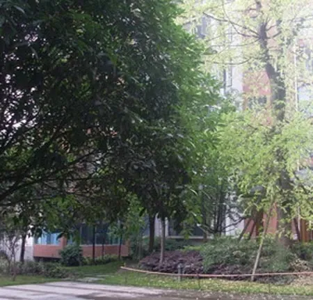 上行东方3室2厅2卫东南朝向2500.00元/月出租