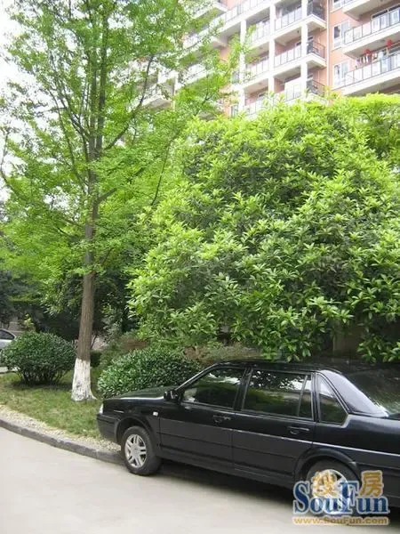 蜀馨苑A区1室1厅1卫东南朝向1600.00元/月出租