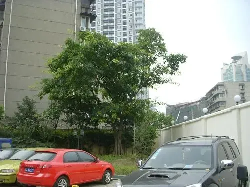 阳光3652室1厅1卫西南朝向2200.00元/月出租