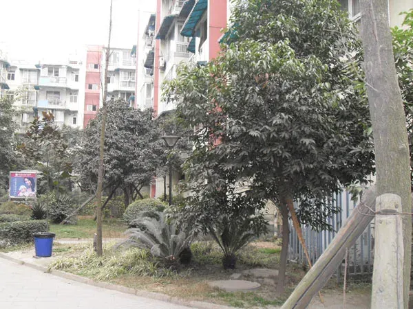 恒和华园3室1厅1卫东南朝向2500.00元/月出租