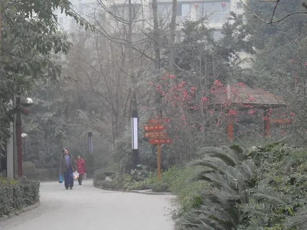 和睦人家三期3室2厅1卫西南朝向3200.00元/月出租