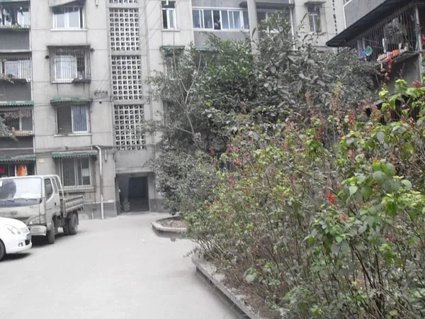 花照壁小区2室1厅1卫东南朝向2400.00元/月出租