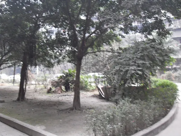 花照壁小区2室1厅1卫东南朝向2300.00元/月出租