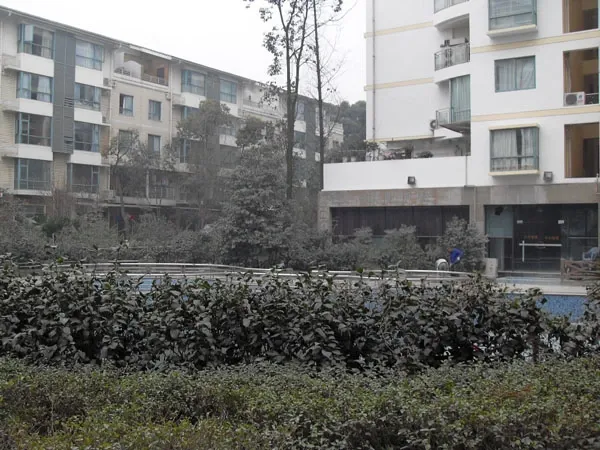 金府路6号院2室1厅1卫西南朝向2800.00元/月出租