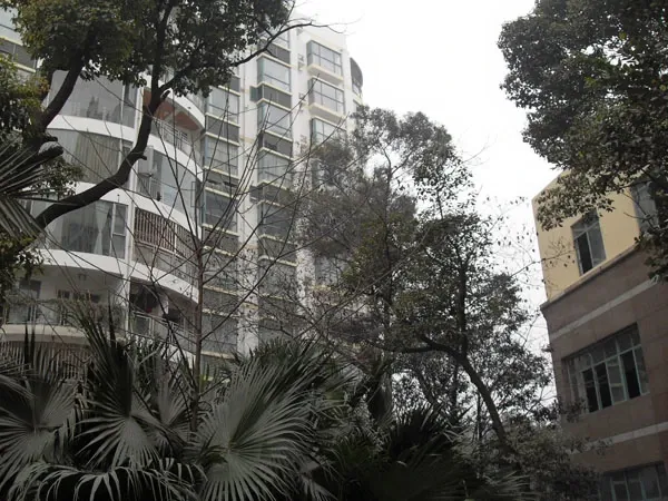 金府路6号院2室1厅1卫东南朝向2300.00元/月出租