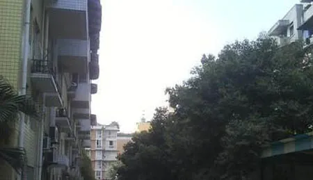 财经商住楼1室1厅1卫西南朝向1100.00元/月出租