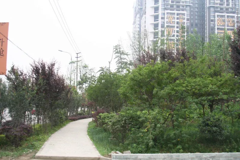 光明城市4室2厅2卫西朝向3500.00元/月出租