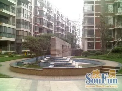 双楠融域4室2厅2卫南朝向4200.00元/月出租