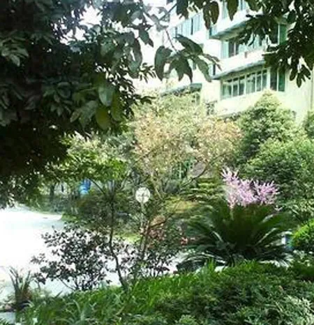 大院人家3室2厅1卫东南朝向2500.00元/月出租