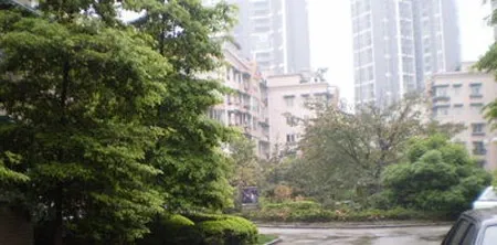 大院人家1室1厅1卫东南朝向1500.00元/月出租