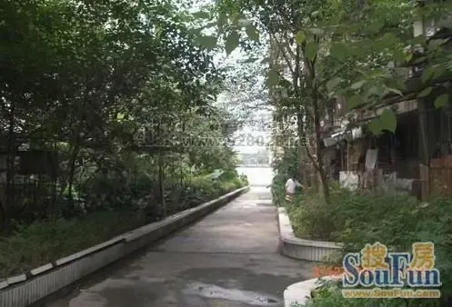 燃灯寺路3号院3室2厅2卫南朝向3100.00元/月出租