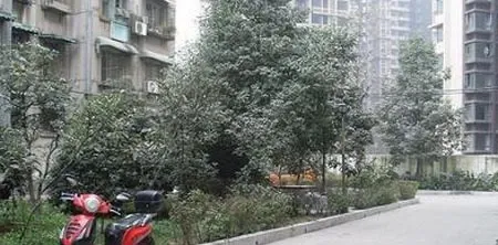 虹波苑3室1厅1卫南朝向2400.00元/月出租